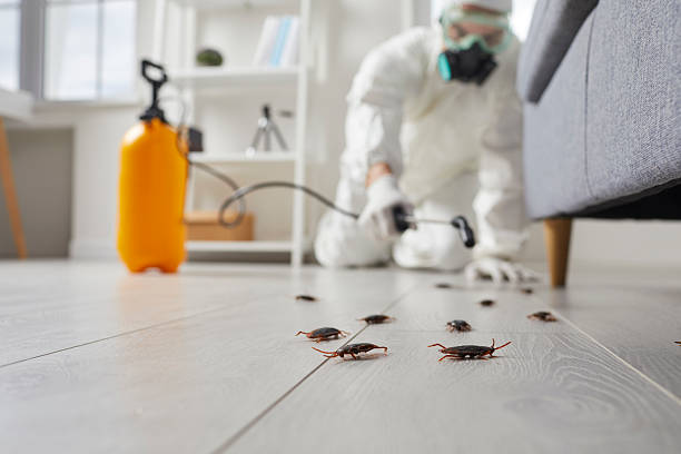 Trusted Cockroach Control service in Mount Holly Springs, PA - Nex Pest Control