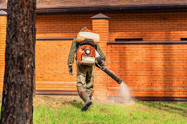 Trusted Termite Control service in Mount Holly Springs, PA - Nex Pest Control